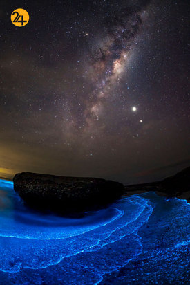 فینالیست‌های مسابقه عکاسی اقیانوس ۲۰۲۱