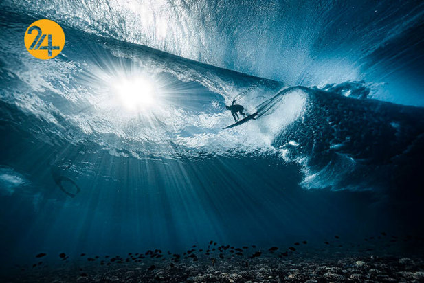 فینالیست‌های مسابقه عکاسی اقیانوس ۲۰۲۱