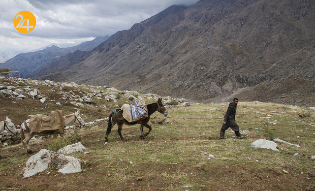 جدال کولبران ایرانی با مرگ