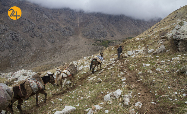 جدال کولبران ایرانی با مرگ