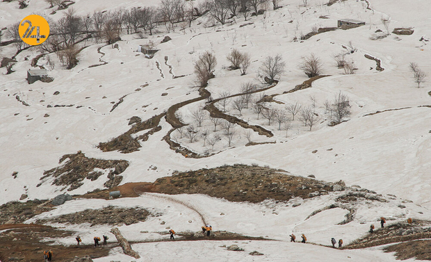 جدال کولبران ایرانی با مرگ