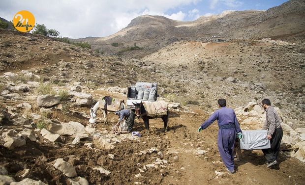 جدال کولبران ایرانی با مرگ