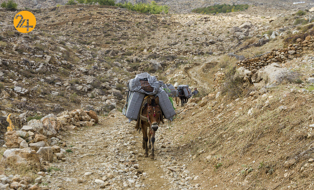 جدال کولبران ایرانی با مرگ