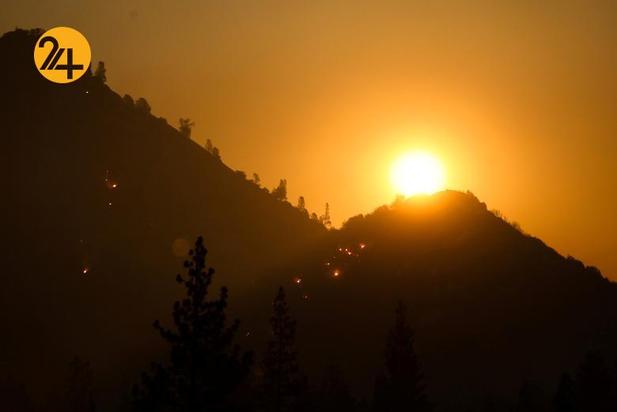 سوختن درختان کهنسال جنگل ملی سکویا در کالیفرنیا