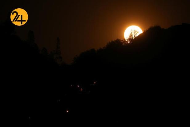 سوختن درختان کهنسال جنگل ملی سکویا در کالیفرنیا