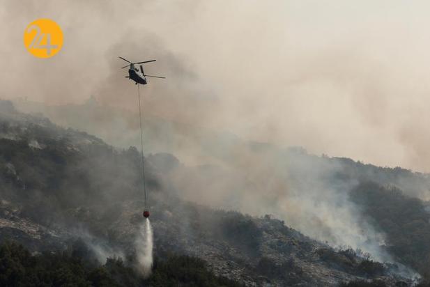 سوختن درختان کهنسال جنگل ملی سکویا در کالیفرنیا