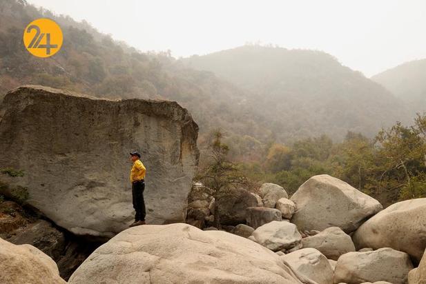 سوختن درختان کهنسال جنگل ملی سکویا در کالیفرنیا
