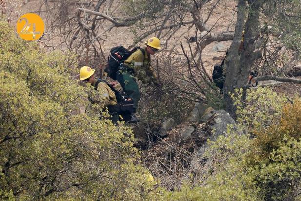 سوختن درختان کهنسال جنگل ملی سکویا در کالیفرنیا