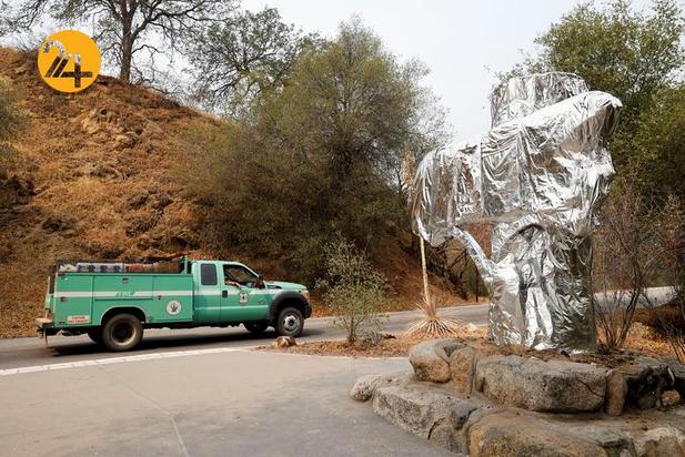 سوختن درختان کهنسال جنگل ملی سکویا در کالیفرنیا