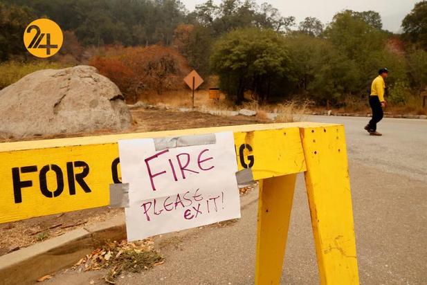 سوختن درختان کهنسال جنگل ملی سکویا در کالیفرنیا