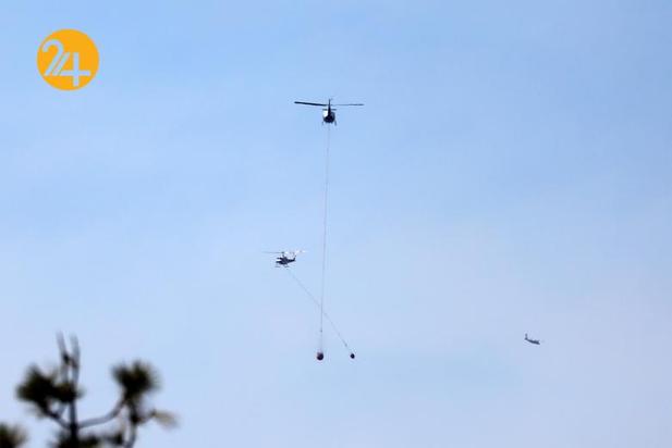 سوختن درختان کهنسال جنگل ملی سکویا در کالیفرنیا