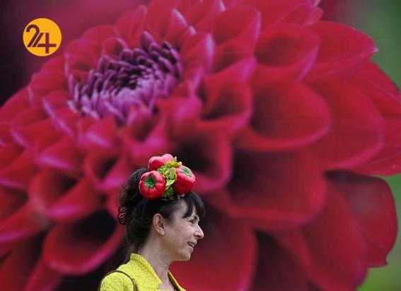 جشنواره گل در چلسی