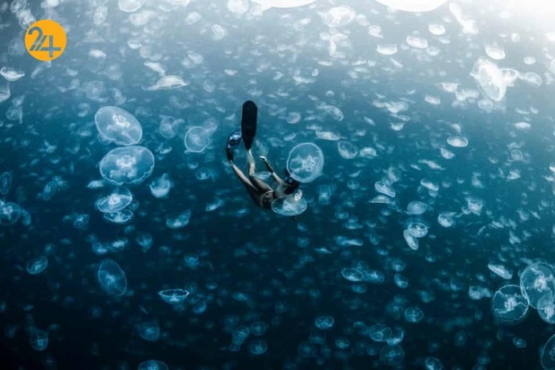 مسابقه عکاسی زیر آب