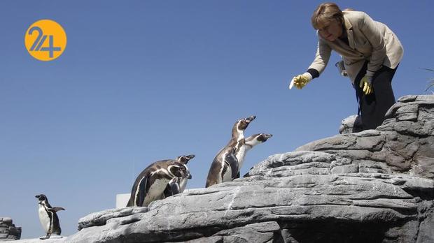 سه دهه فعالیت سیاسی آنگلا مرکل