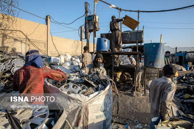 واکسیناسیون زباله گرد‌ها