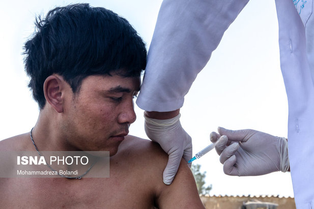 واکسیناسیون زباله گرد‌ها