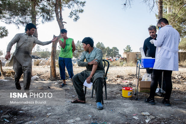 واکسیناسیون زباله گرد‌ها