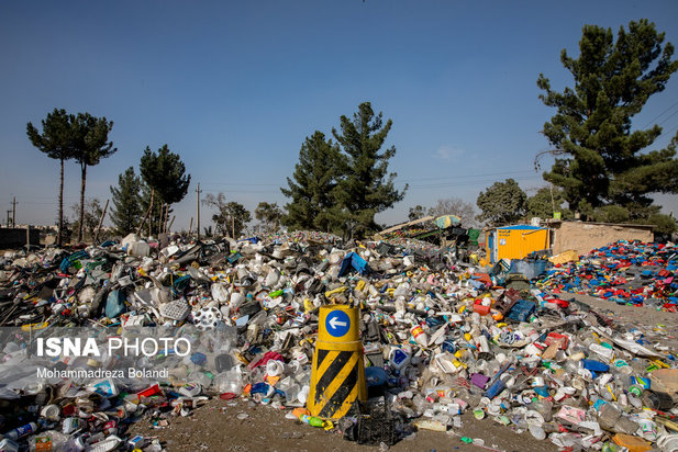 واکسیناسیون زباله گرد‌ها