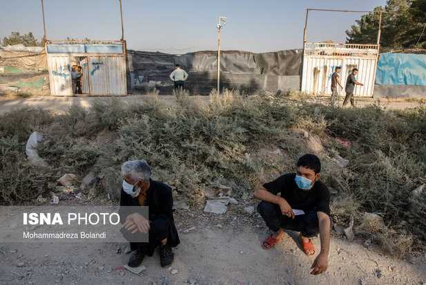 واکسیناسیون زباله گرد‌ها