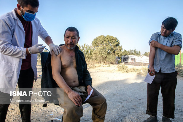 واکسیناسیون زباله گرد‌ها