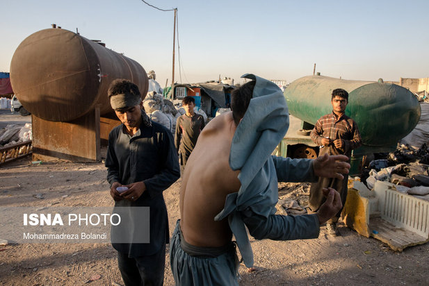 واکسیناسیون زباله گرد‌ها