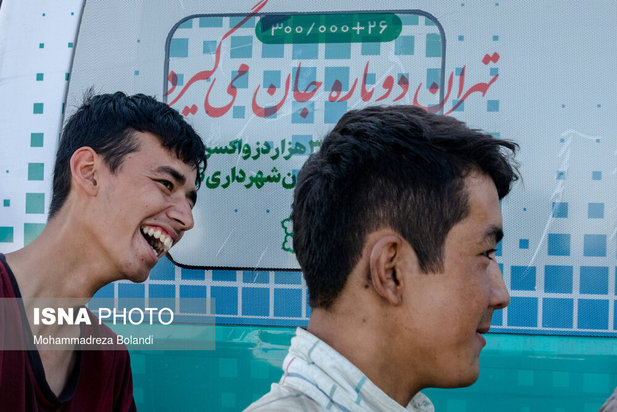 واکسیناسیون زباله گرد‌ها