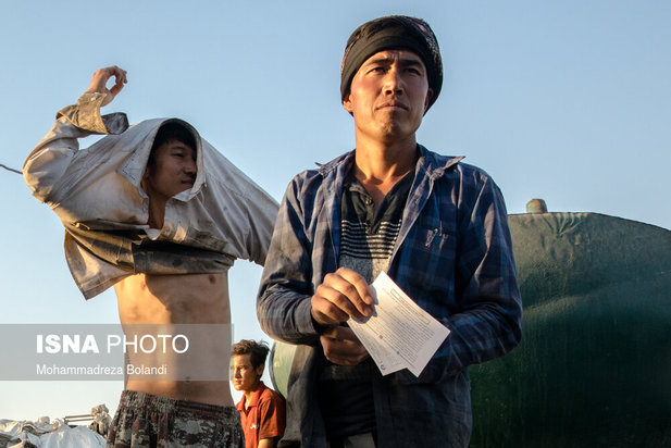 واکسیناسیون زباله گرد‌ها