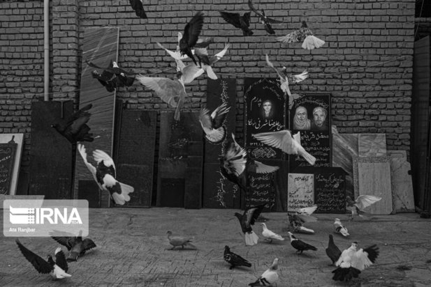 سنگ قبر شناسنامه دوم متوفیان