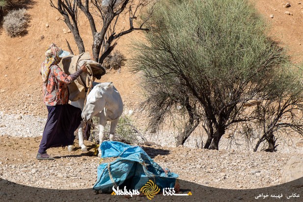 خط فقر در ایران