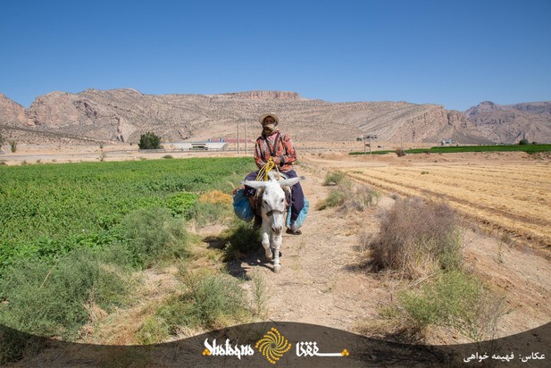 خط فقر در ایران