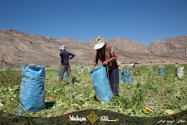 خط فقر در ایران