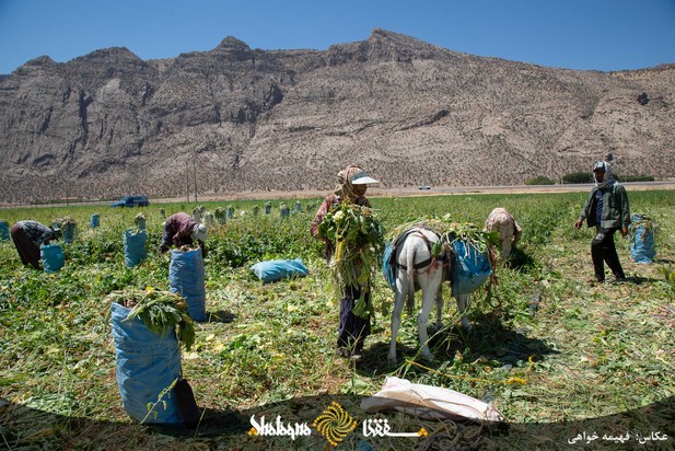 خط فقر در ایران