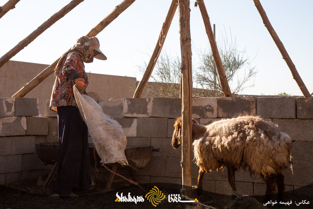 خط فقر در ایران