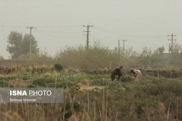 طوفان شاهین سیستان را درنوردید