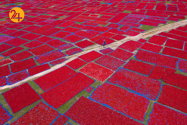 مسابقه عکاسی سفر ۲۰۲۱