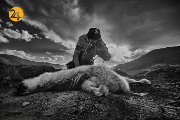 مسابقه عکاسی سفر ۲۰۲۱