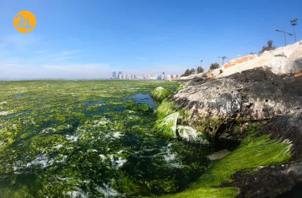 هیجان انگیزترین تصاویر حیات وحش به روایت گاردین