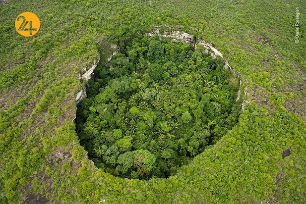 برندگان مسابقه عکاسی ۲۰۲۱