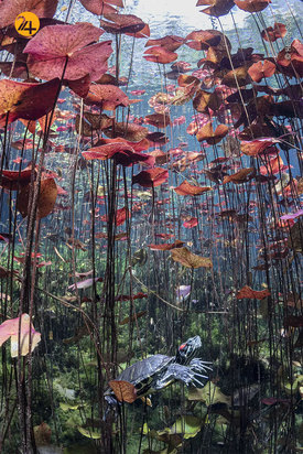 برندگان مسابقه عکاسی ۲۰۲۱