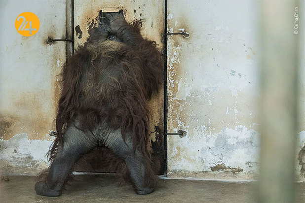 برندگان مسابقه عکاسی ۲۰۲۱