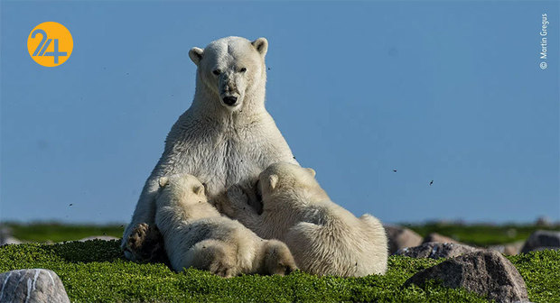 برندگان مسابقه عکاسی ۲۰۲۱