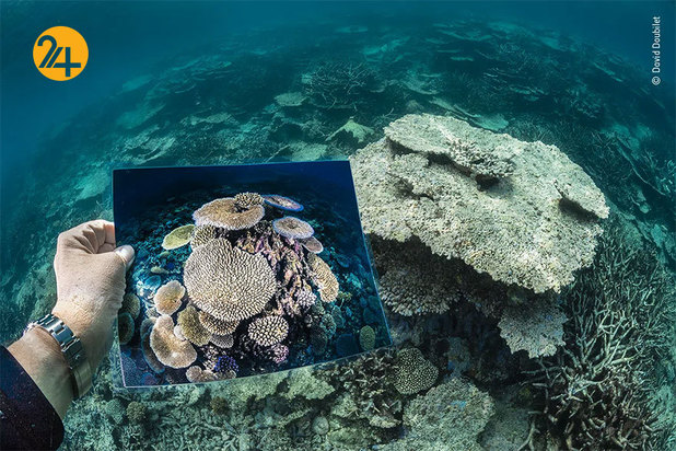 برندگان مسابقه عکاسی ۲۰۲۱