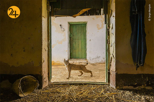 برندگان مسابقه عکاسی ۲۰۲۱