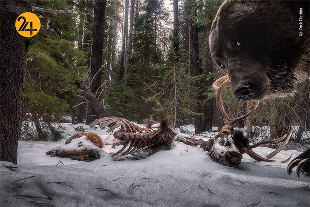 برندگان مسابقه عکاسی ۲۰۲۱