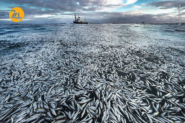 برندگان مسابقه عکاسی ۲۰۲۱