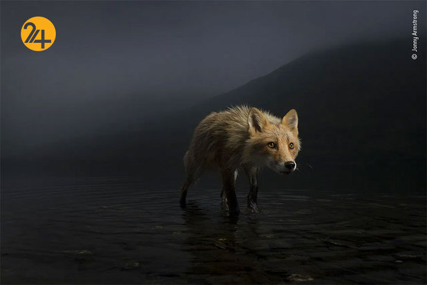 برندگان مسابقه عکاسی ۲۰۲۱