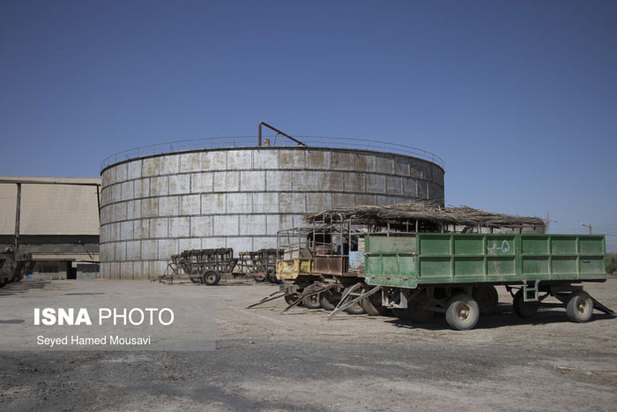 نیشکر هفت تپه پس از واگذاری به شرکت توسعه نیشکر