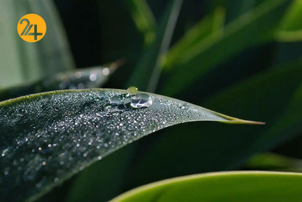 مسابقه عکاسی آب و هوا 2021