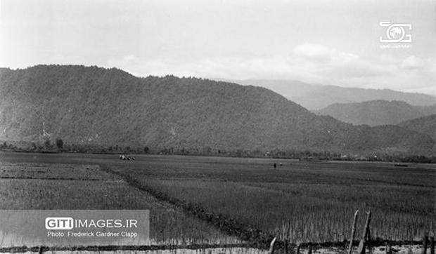 طبیعت و جاده های ایران به روایت گاردنر کلاپ