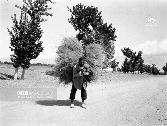 طبیعت و جاده های ایران به روایت گاردنر کلاپ